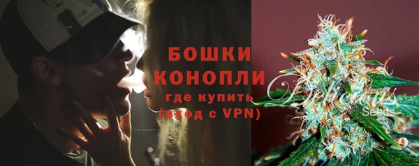 прущий лед Дмитриев