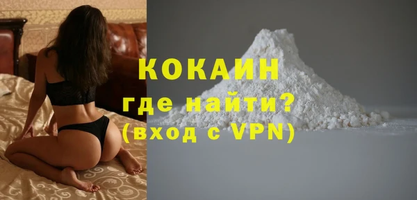 прущий лед Дмитриев