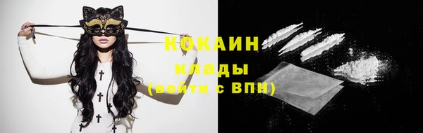 прущий лед Дмитриев