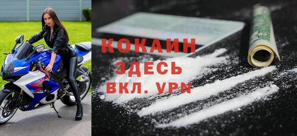 прущий лед Дмитриев