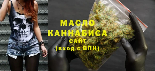 прущий лед Дмитриев