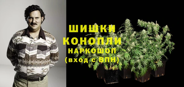 прущий лед Дмитриев
