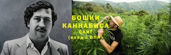 прущий лед Дмитриев