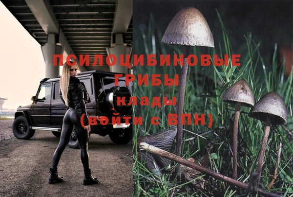прущий лед Дмитриев