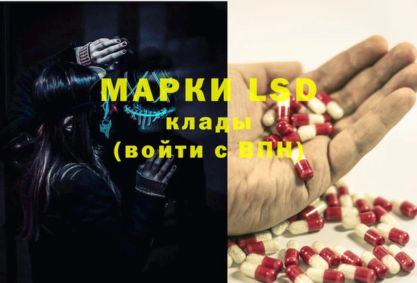 прущий лед Дмитриев